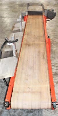 11 Foot Long Flat Conveyor