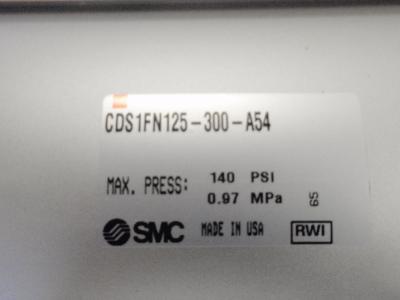 CDS1FN125-300-A54 SMC Cylinder