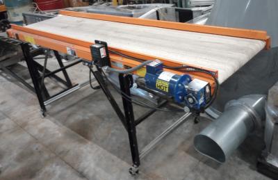 EMI 24" wide, 8 ft. Long flat conveyor