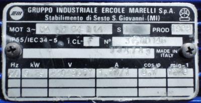 Gruppo Industriale Ercole Marelli Motor .335 HP