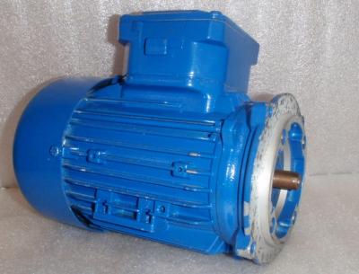 Gruppo Industriale Ercole Marelli Motor .335 HP