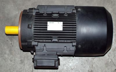 Lafert AM132MTA4/8 7.5hp Motor