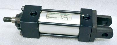 Numatics P2AK-02A1D-EAA0 Pneumatic Cylinder